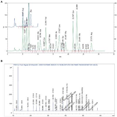 Effects of donkey milk on UVB-induced skin barrier damage and melanin pigmentation: A network pharmacology and experimental validation study